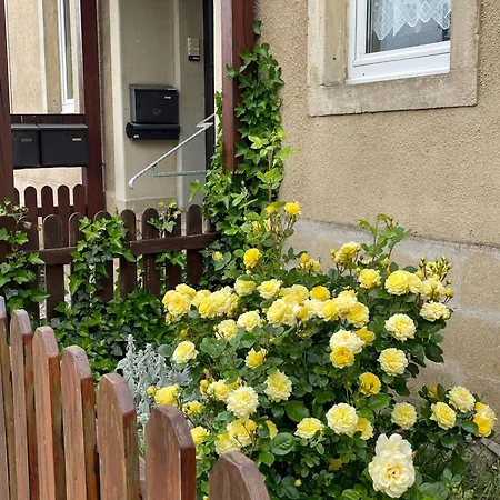 Atelier-fewo-polenztal - Bis 5 Personen Apartment